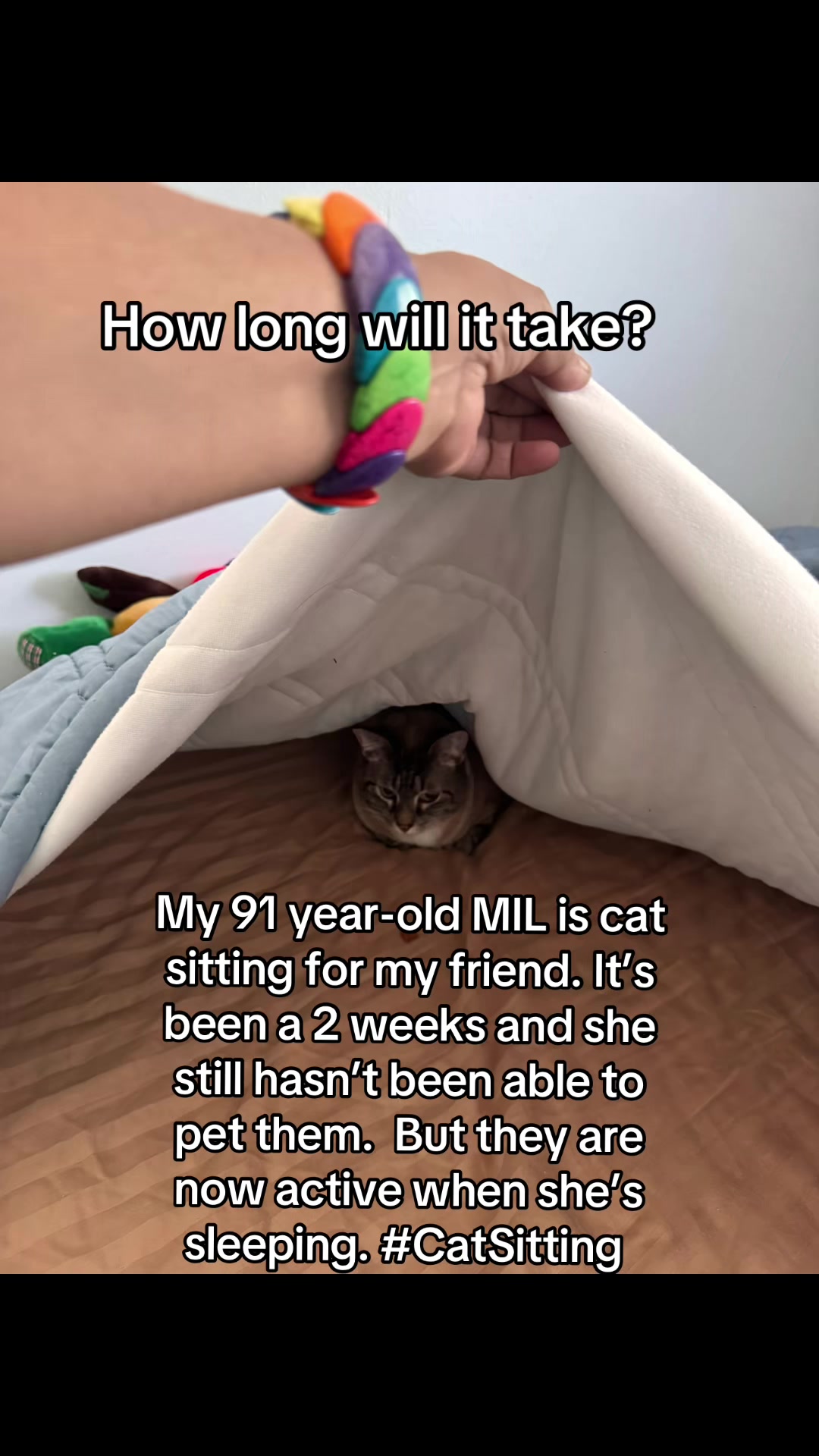 @HippiMom