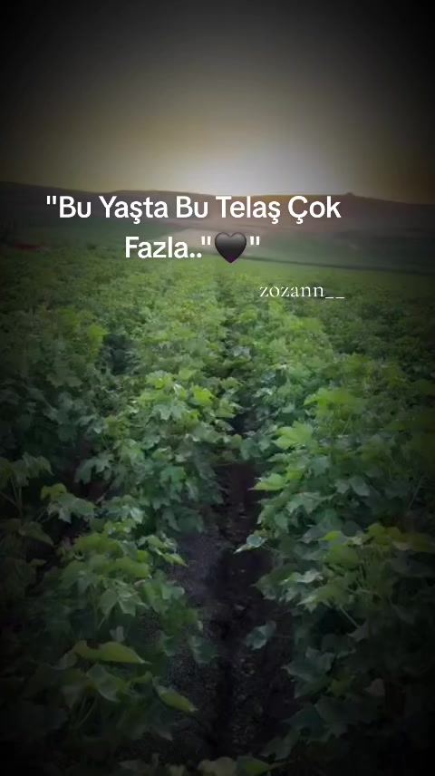 @ZOZAN