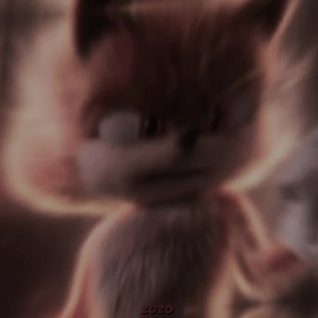 @đľđđđ ę¨ď¸