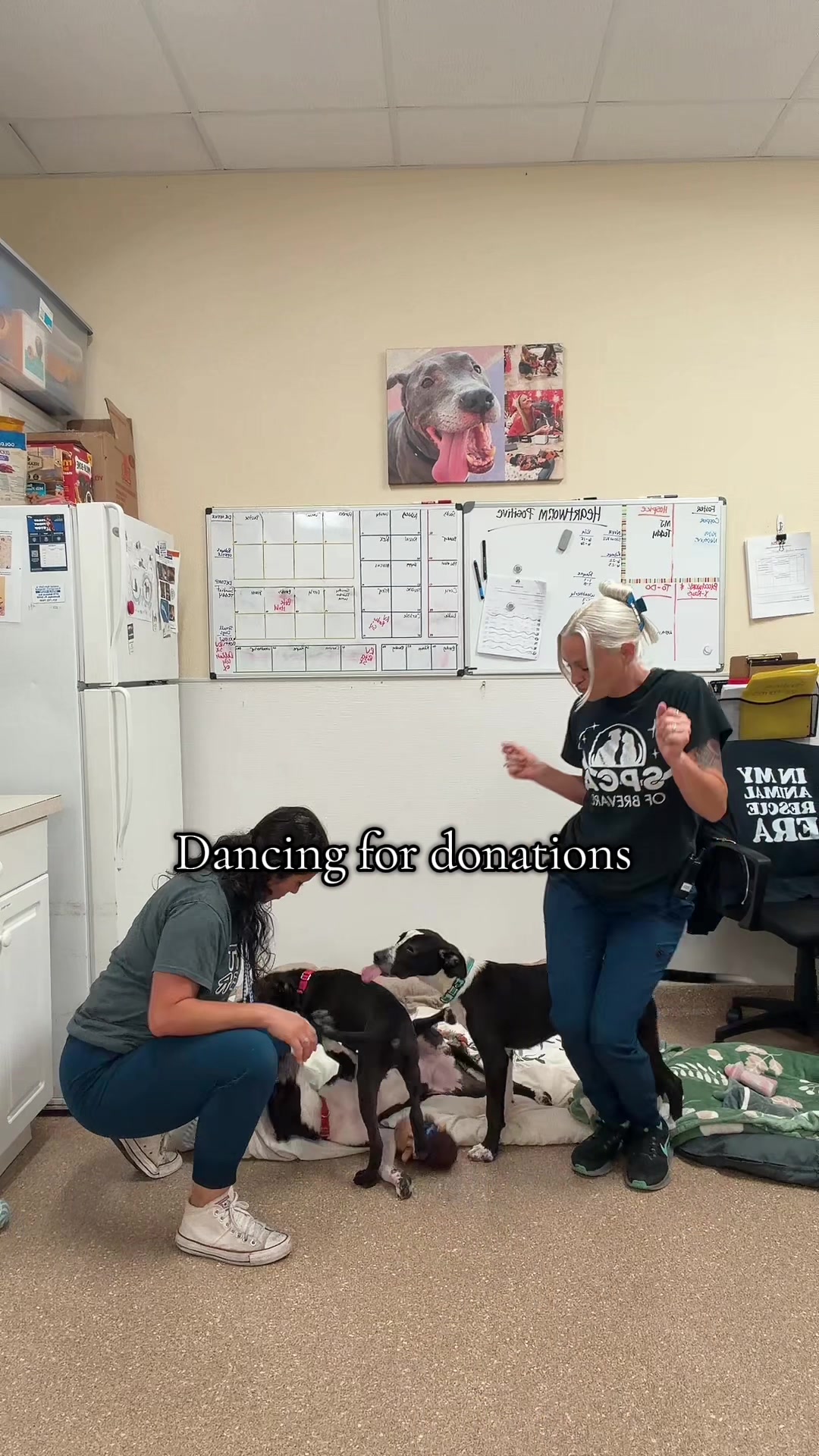@2vettechs