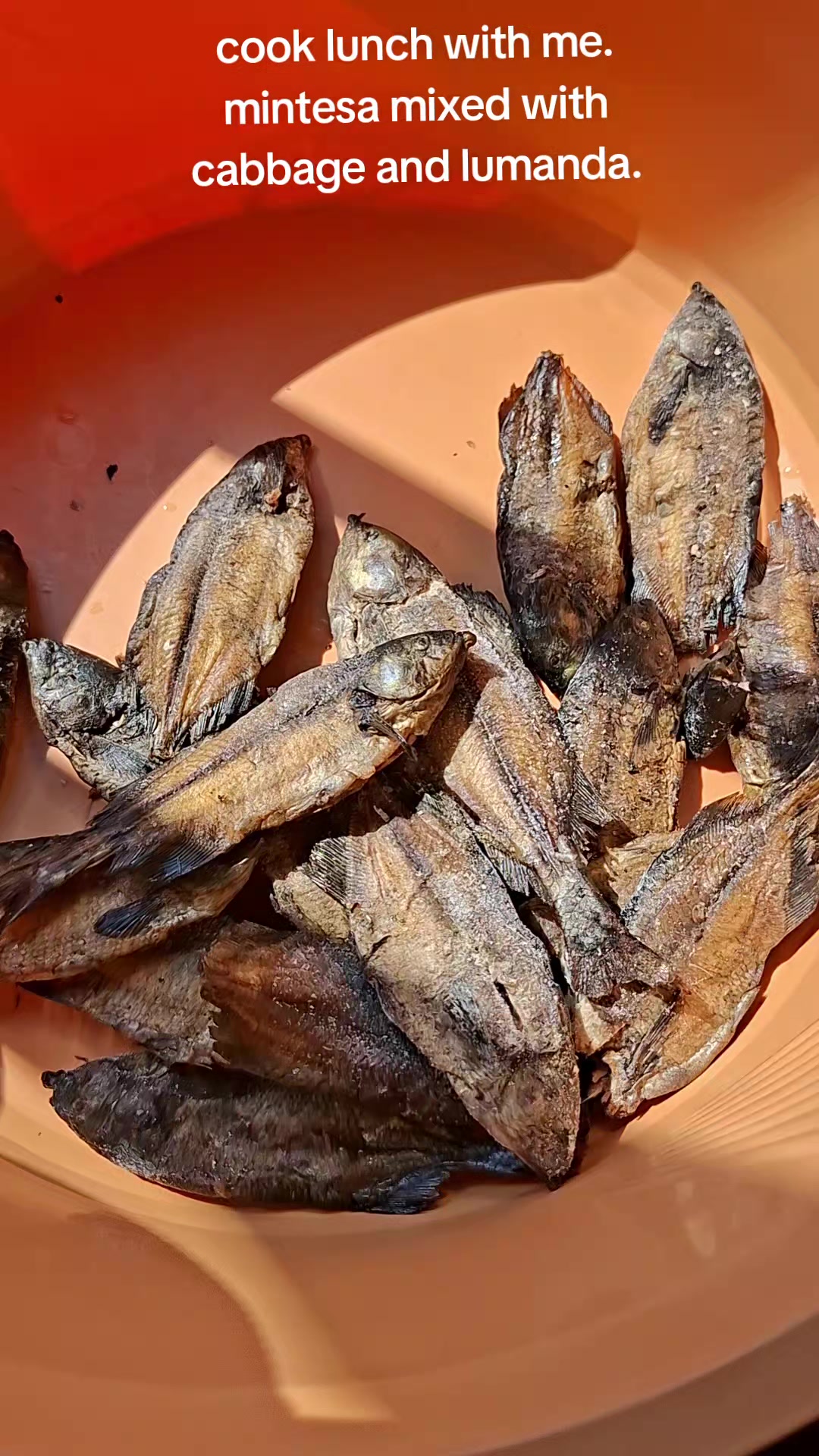 @taste&buttonsby kopiwe