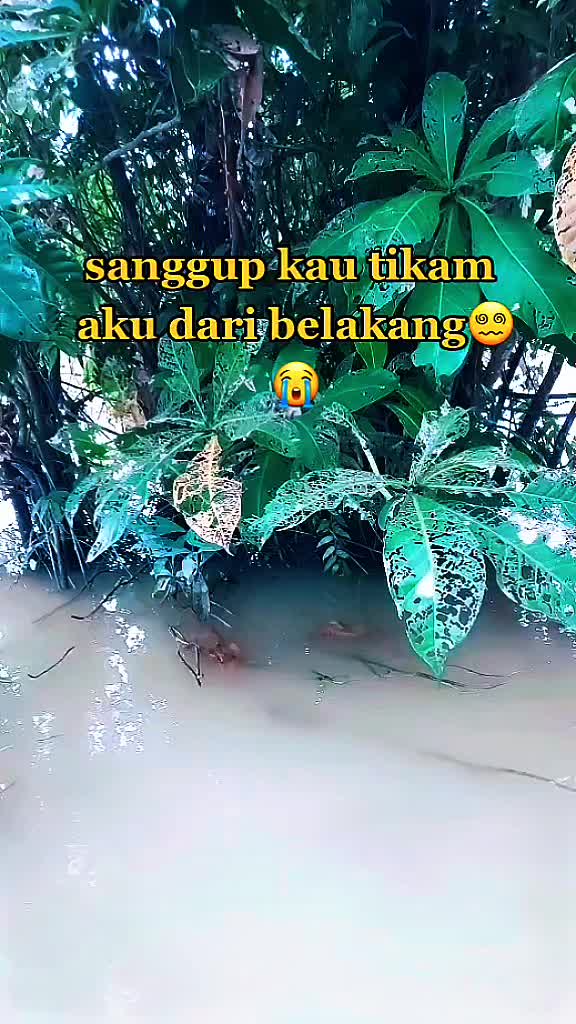 @tak_payah_cari