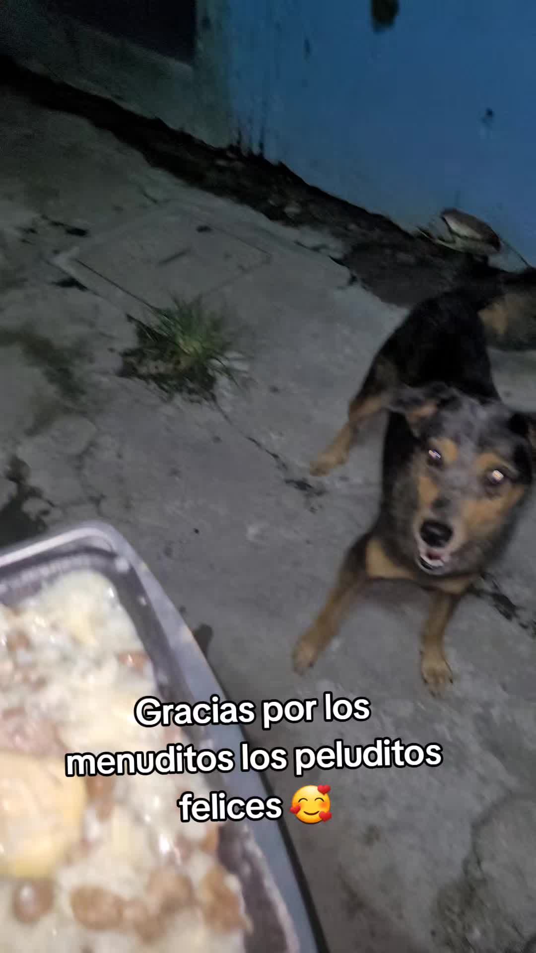 @𝕃𝕚𝕤𝕤 ℝ𝕖yes🇸🇻