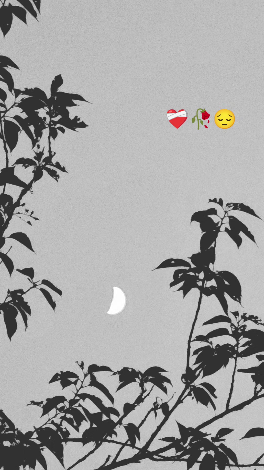 @رشو رشي❤️🩹🥀😔
