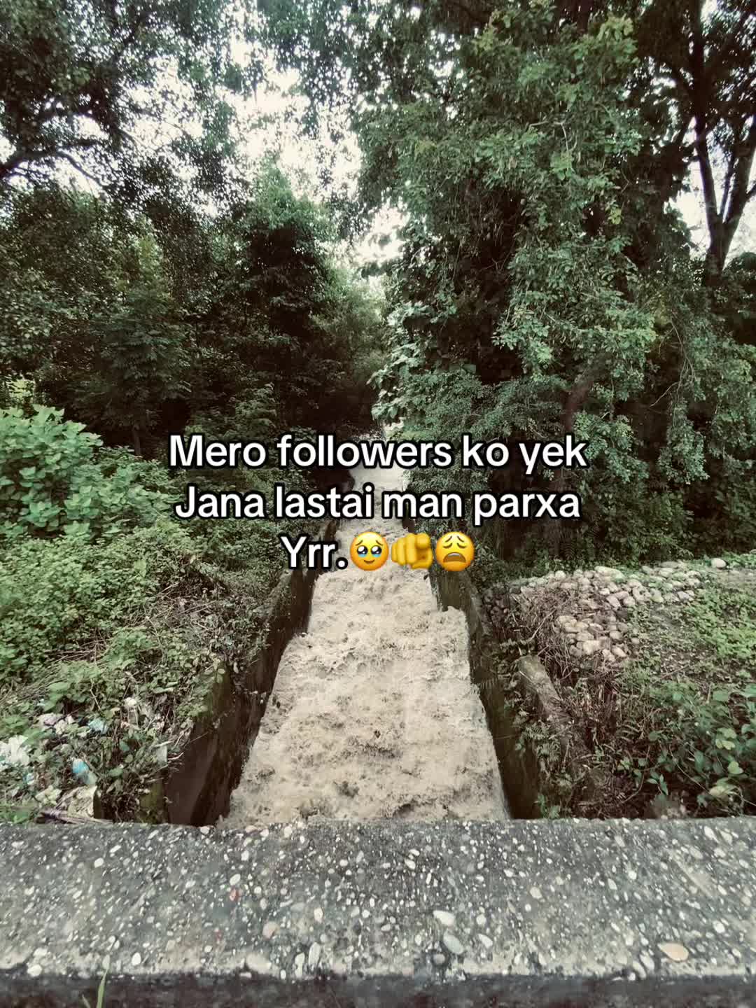 @Jeryy‼️