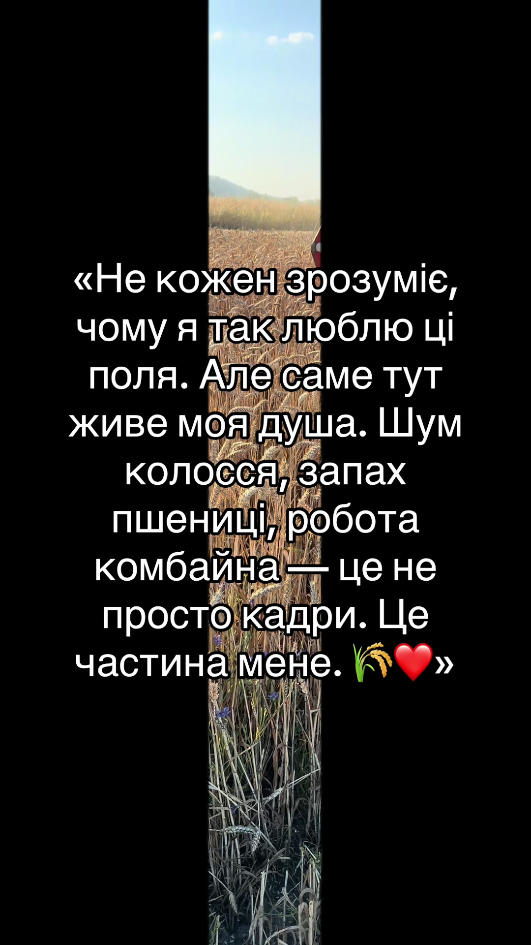 @🌾Diagri1996🌾