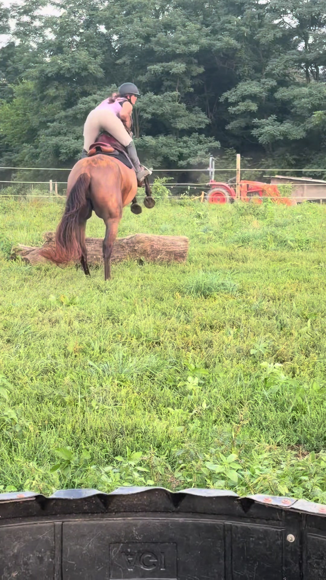 @Aftyn 🐎