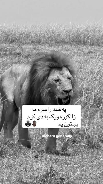 @🥷🏿کــــپــــچــــه🥷🏿