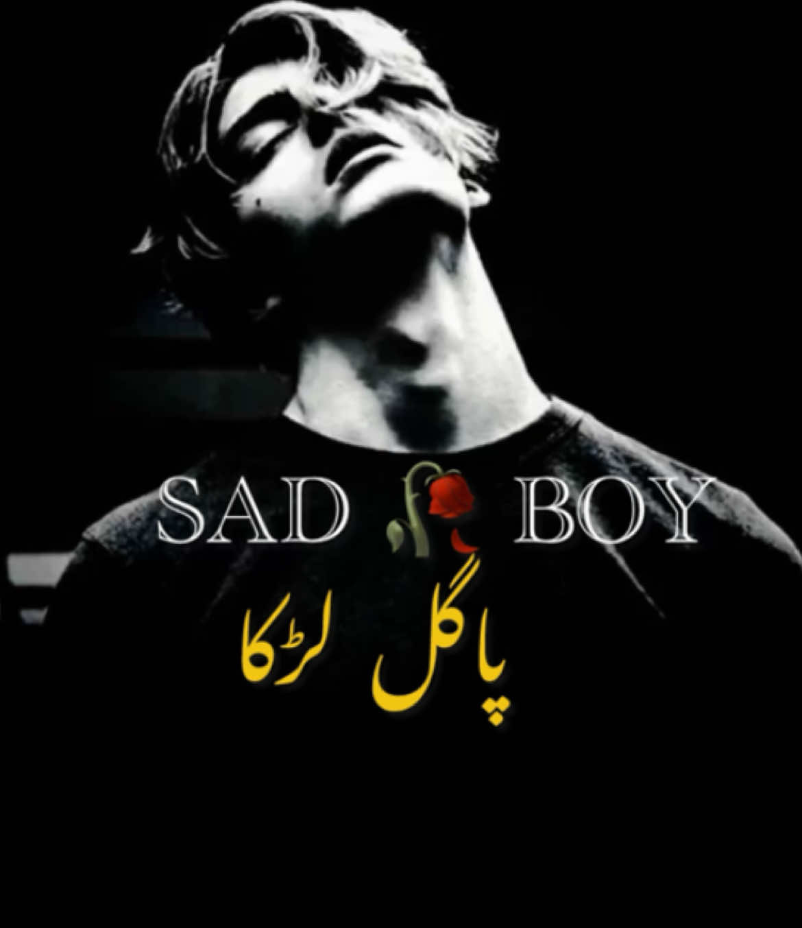 @😢 SAD BOY🎶