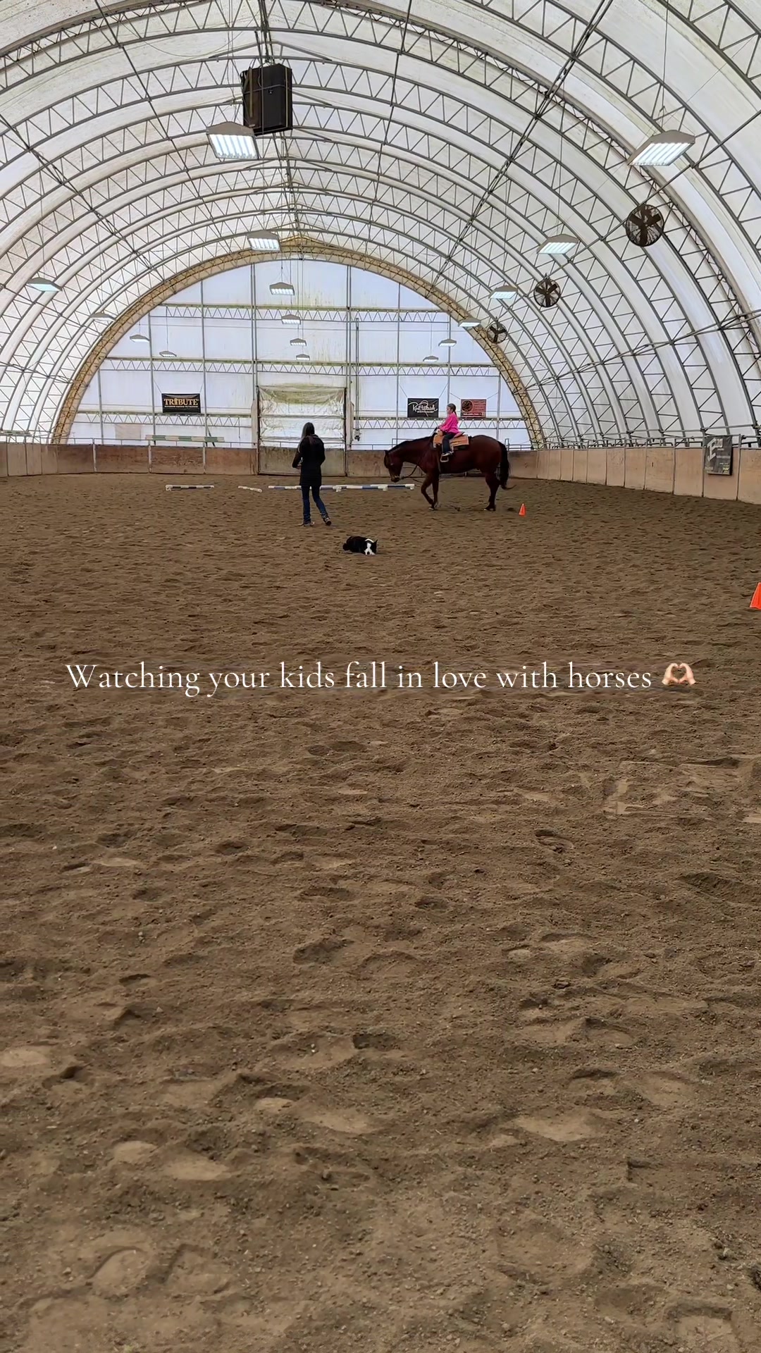 @Cait | Red Mare Owner