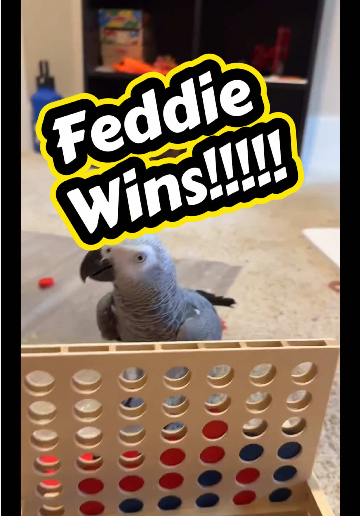 @thehinzoo