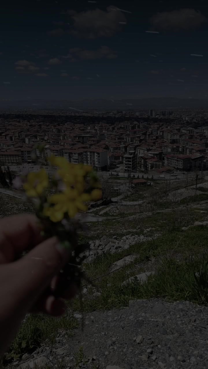 @kelebeğin Rüyası 44