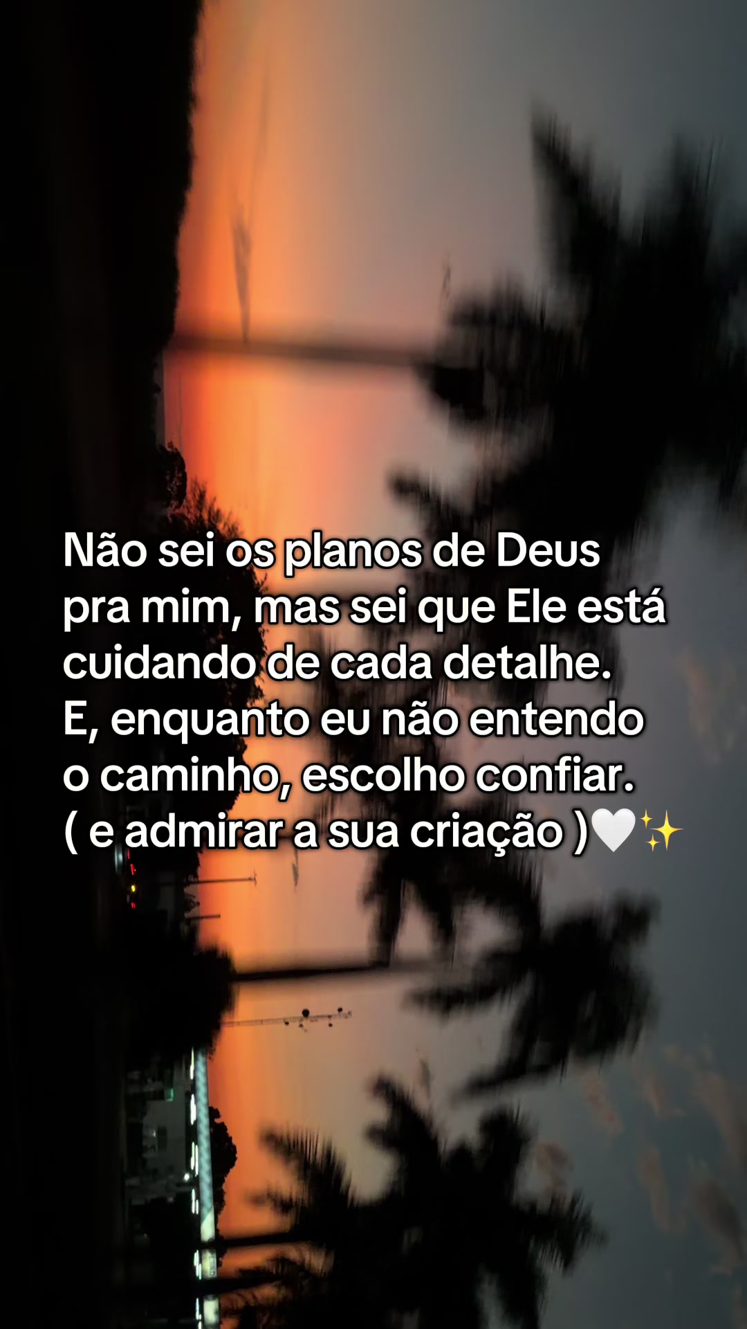 @Daniela Bettini
