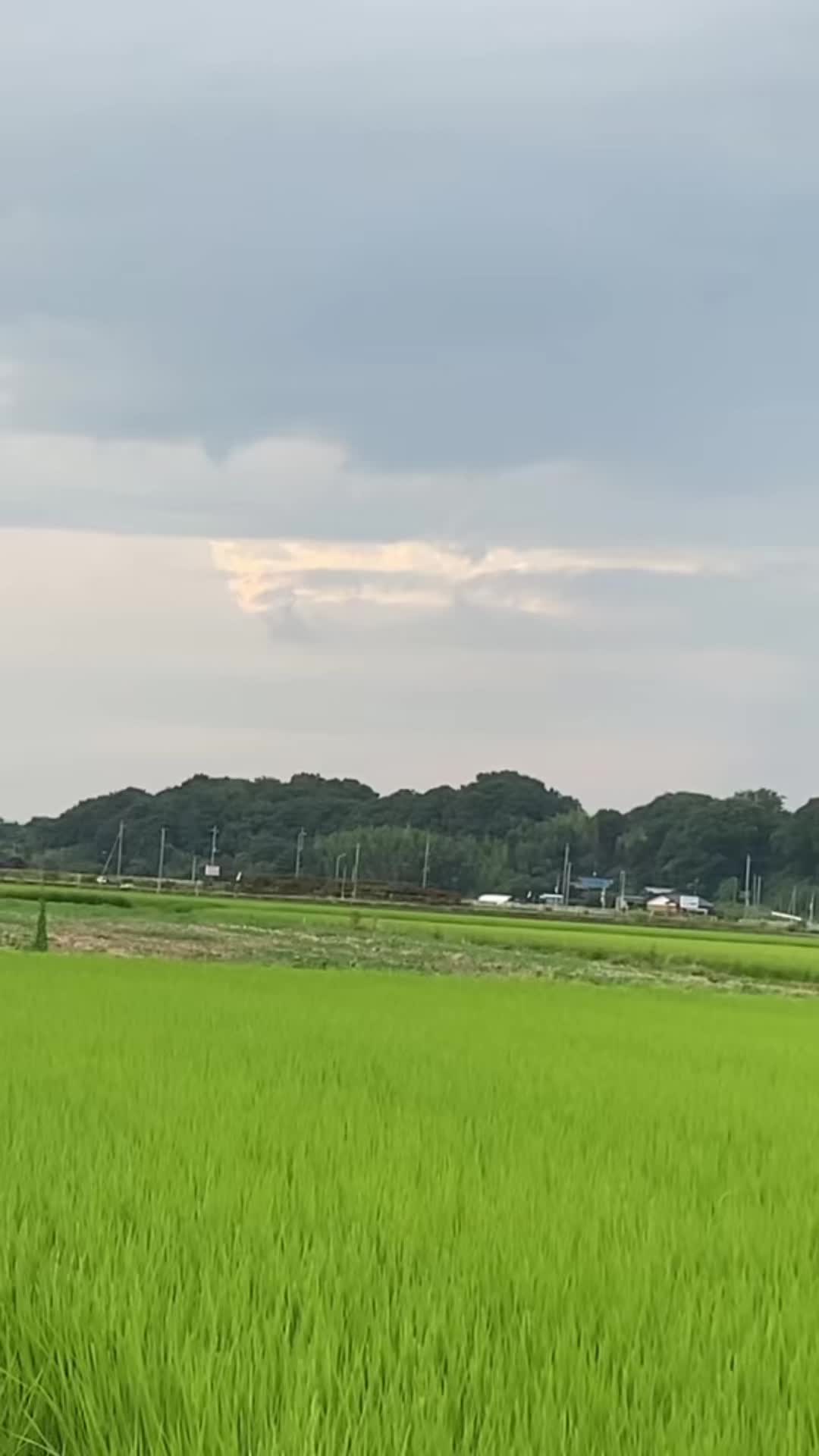 @マシ1010