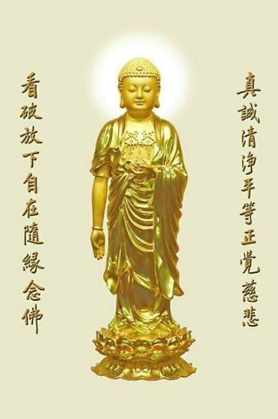 @南無阿彌陀佛🙏🙏🙏