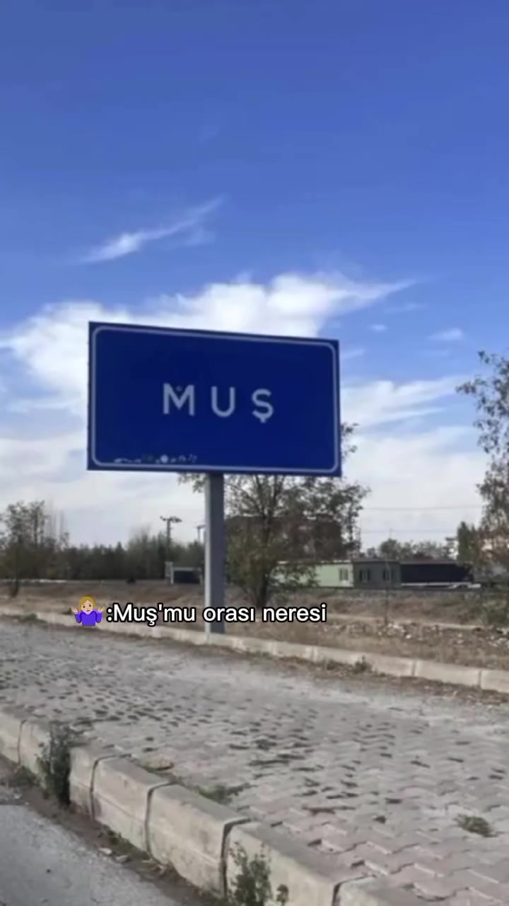@Bulanık Gençlik