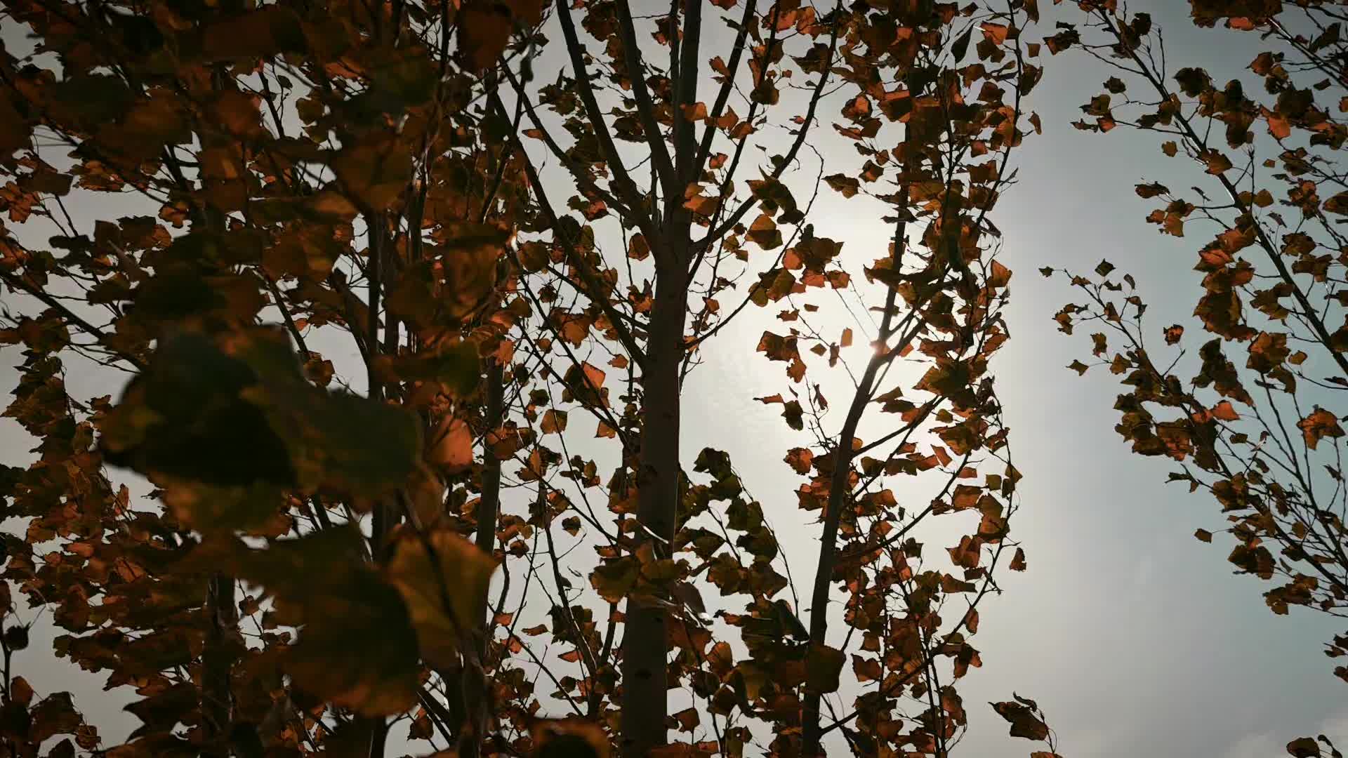 @живой человек
