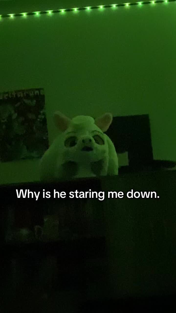 @Extremblox2