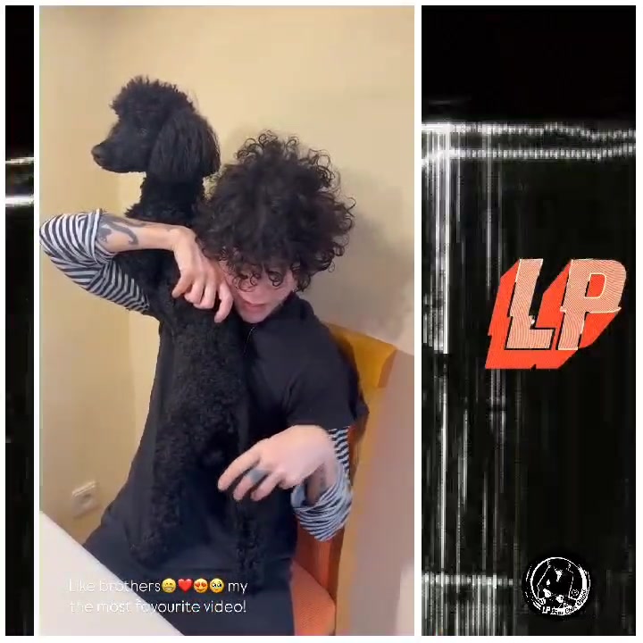 @LPFansChileOficial