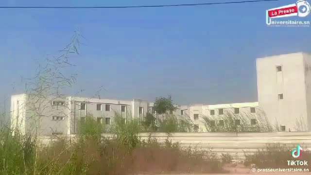 @ELAS-UASZ🇸🇳🫶📚