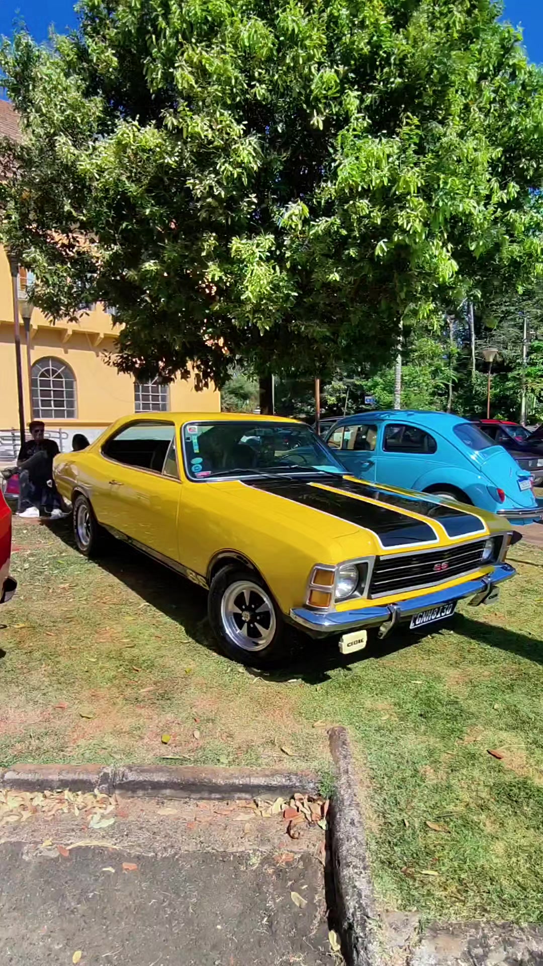 @Cars in Brasil