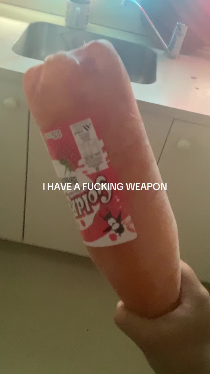 @My pet Polygon c: