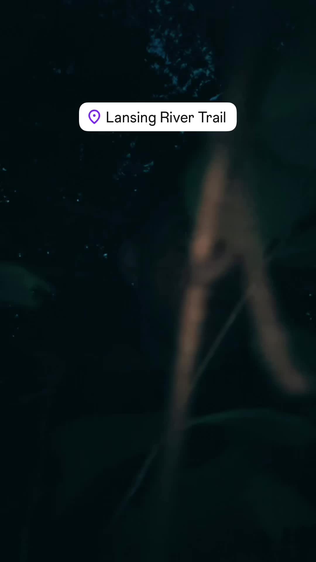 @jax.the_ripper_