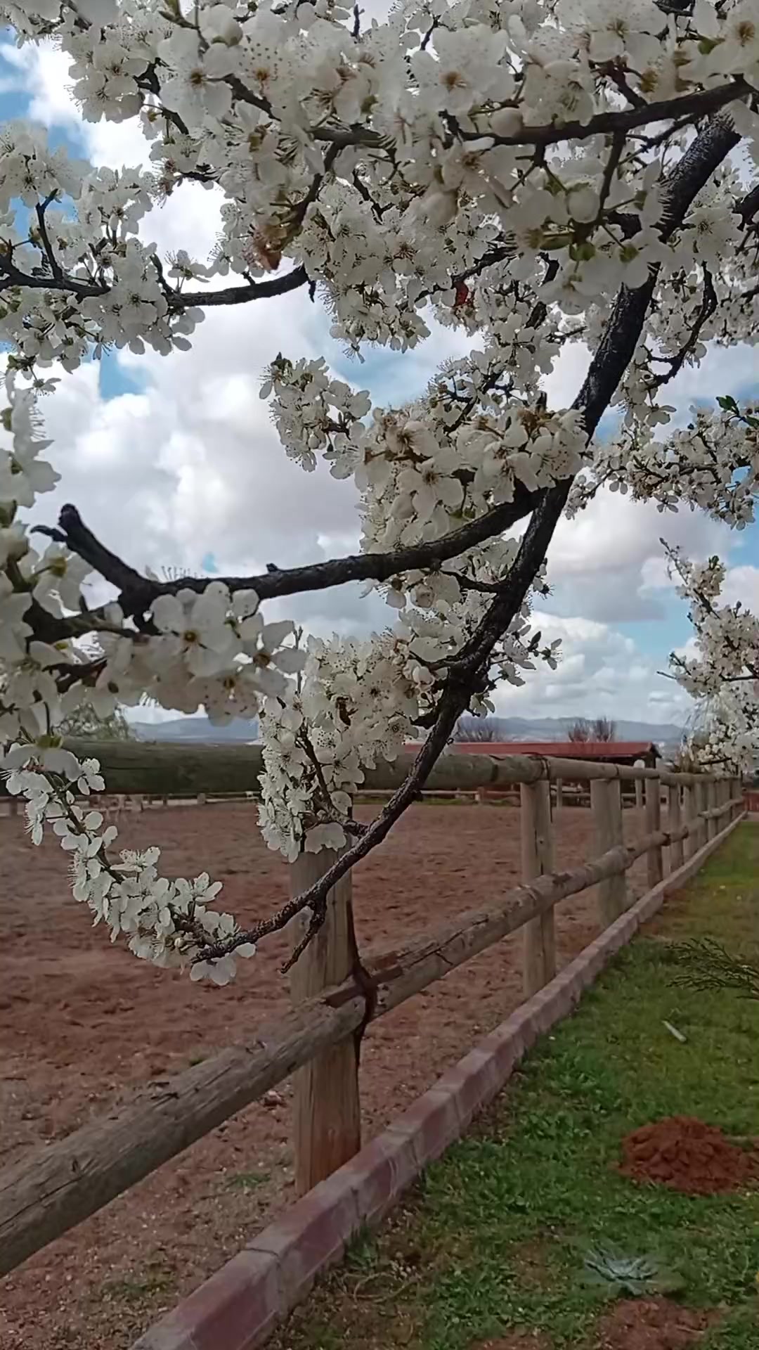 @Fatoş4040