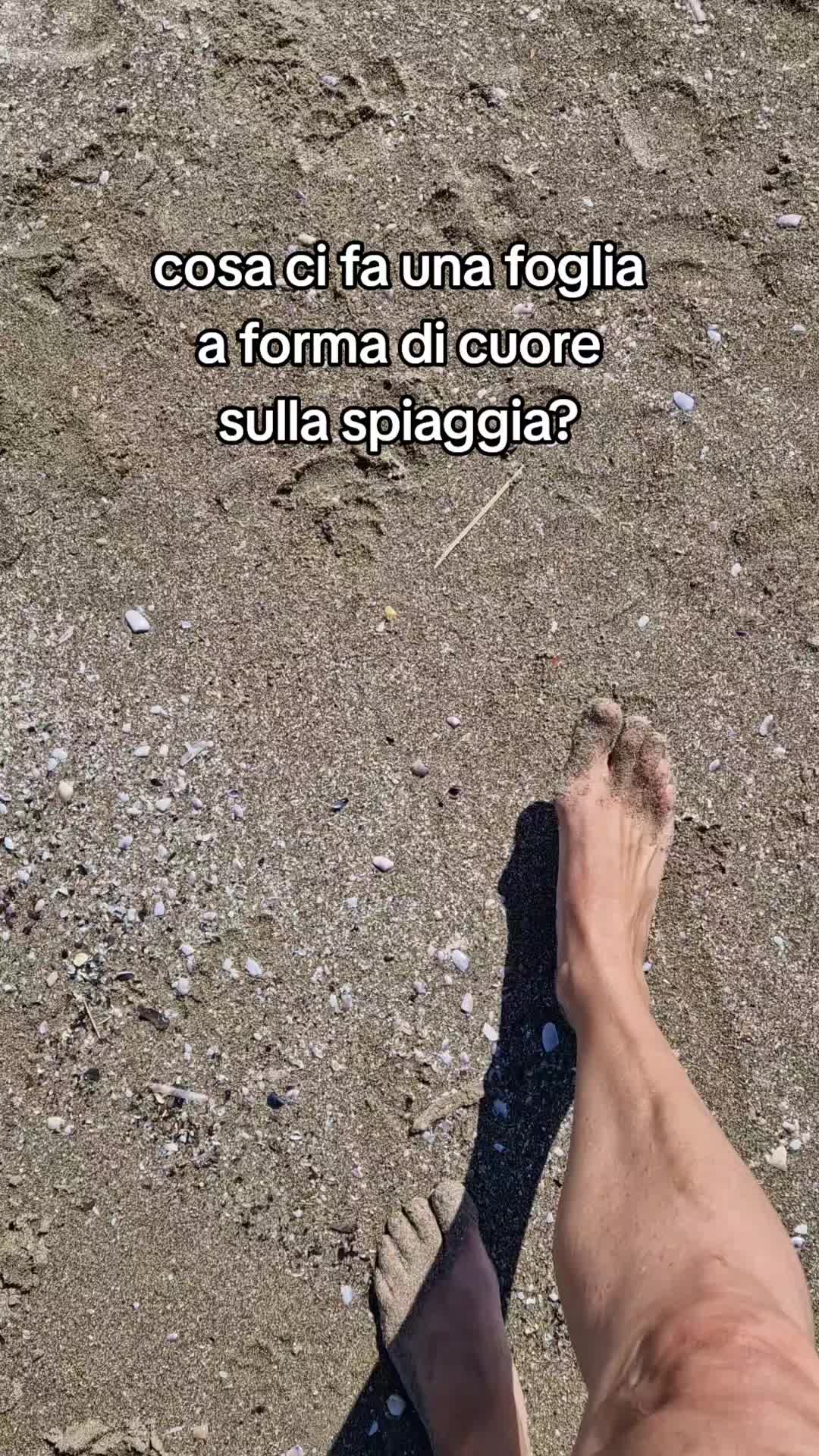 @Stefano I Line &reg;