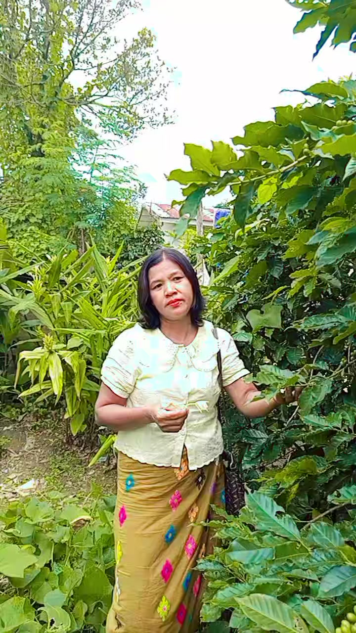 @Nu Nu