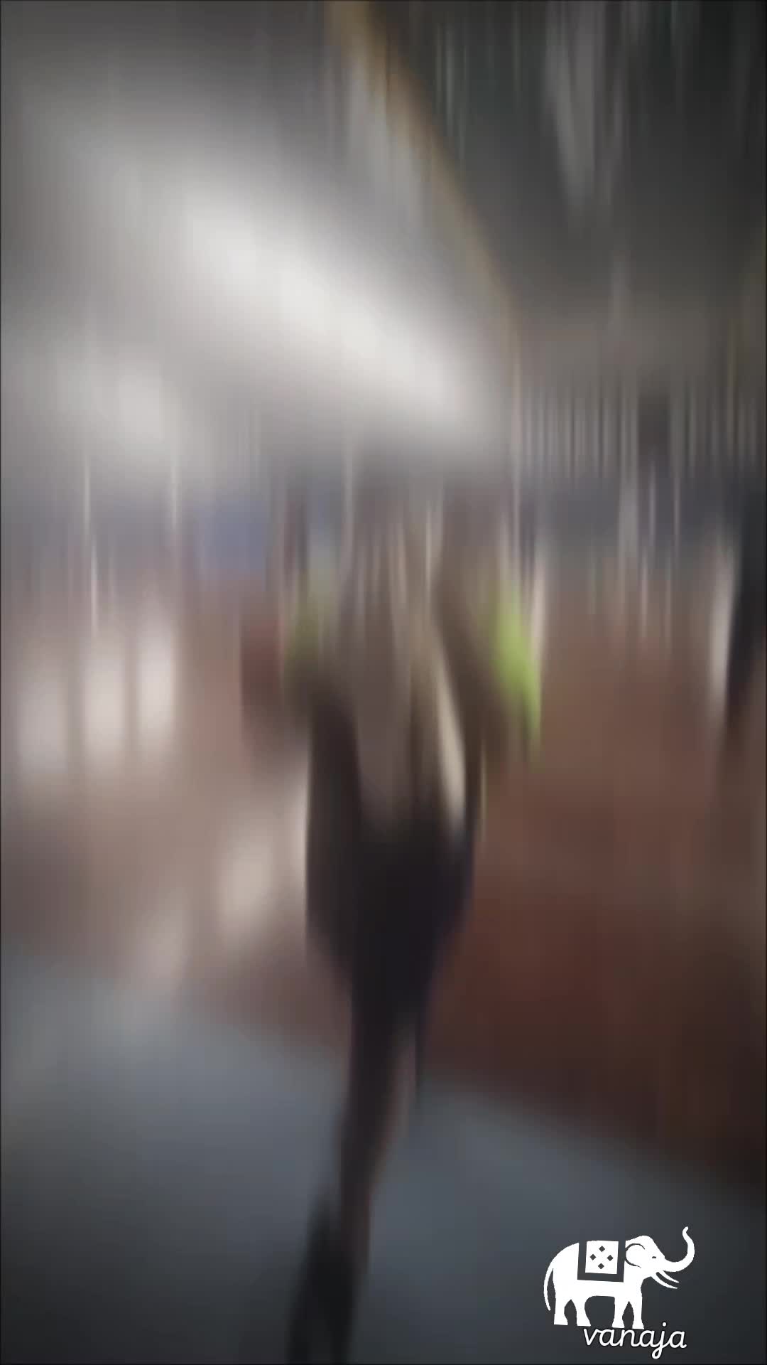 @v_naja2