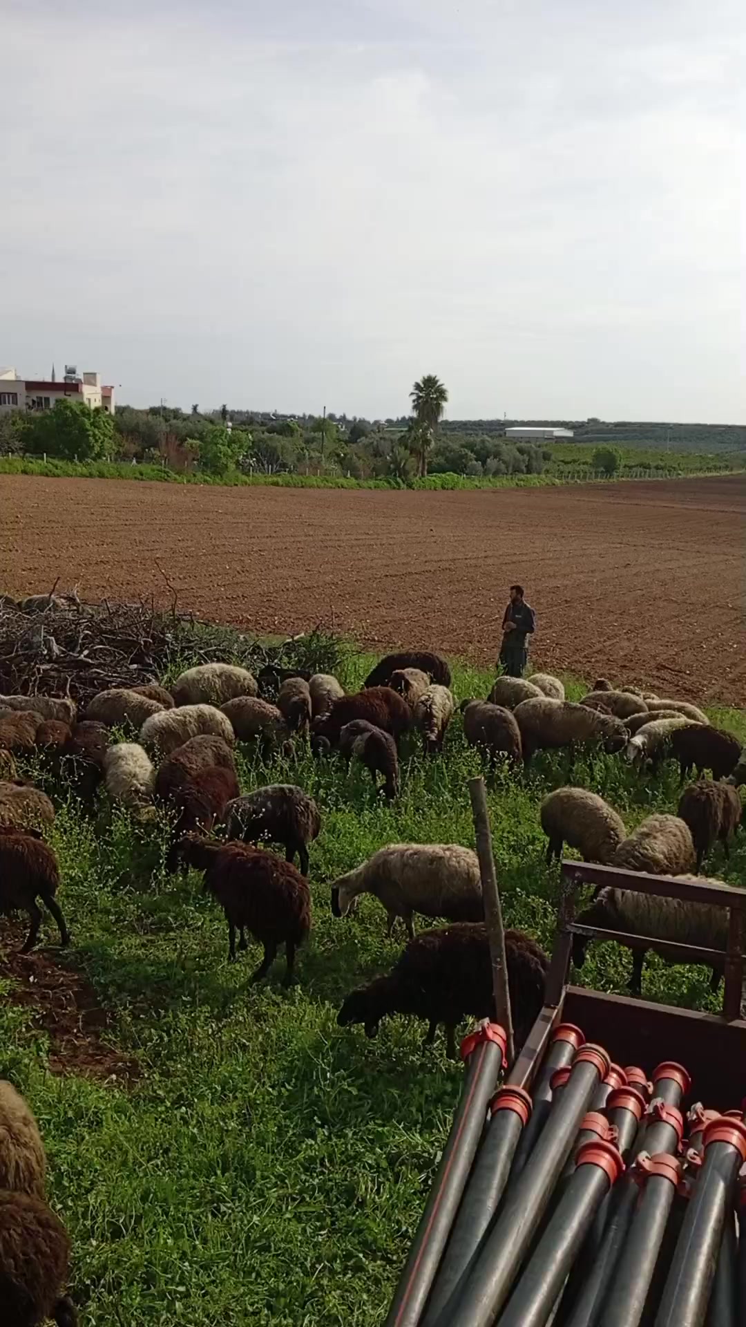 @yusuf göncü