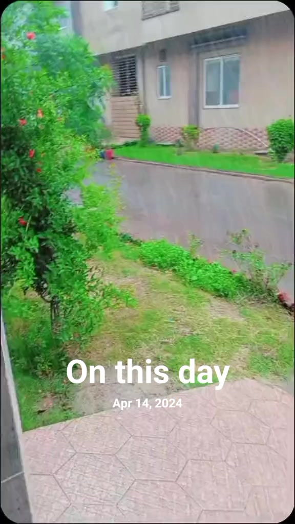 @AR❤️