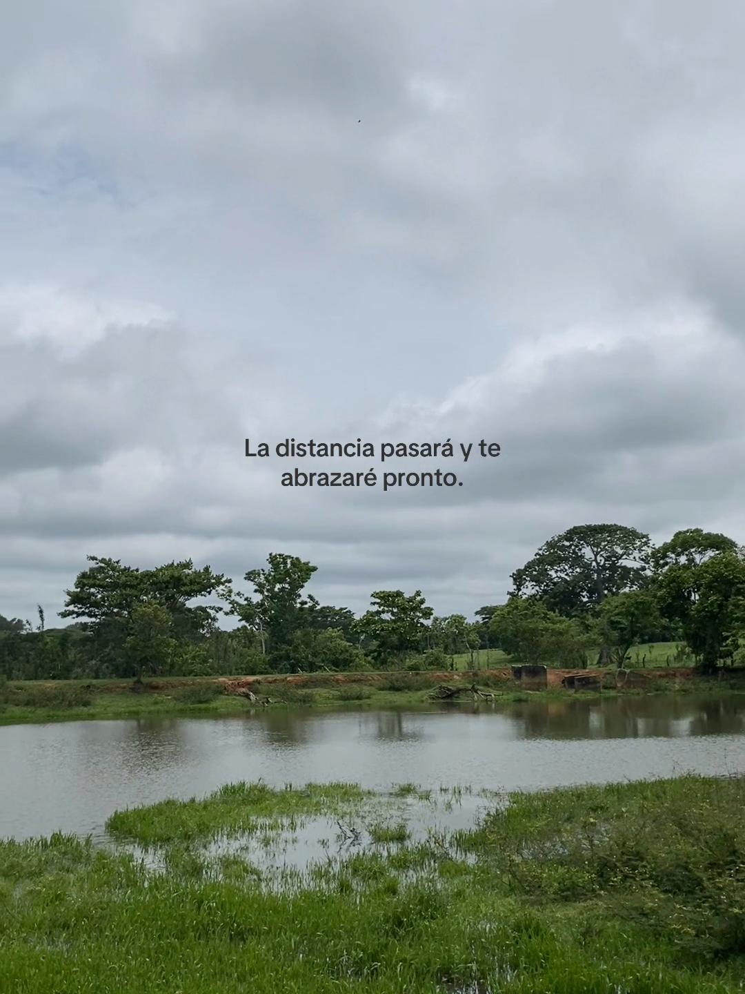 @ℒ𝒶 𝓅𝓁𝒶𝓃𝓉𝒾𝓉𝒶🌱