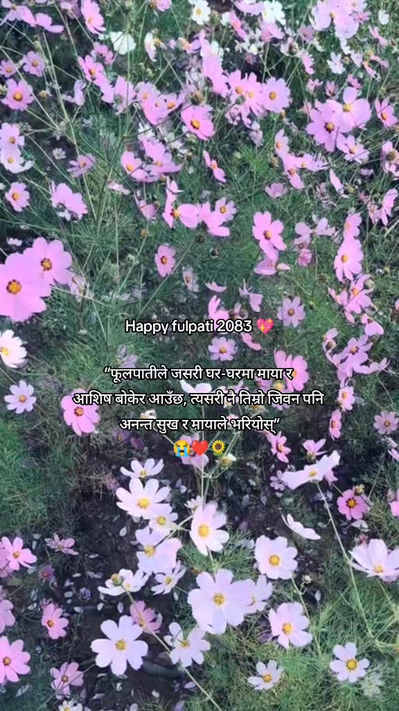 @Jeeban Karkee ❤️&zwj;🩹