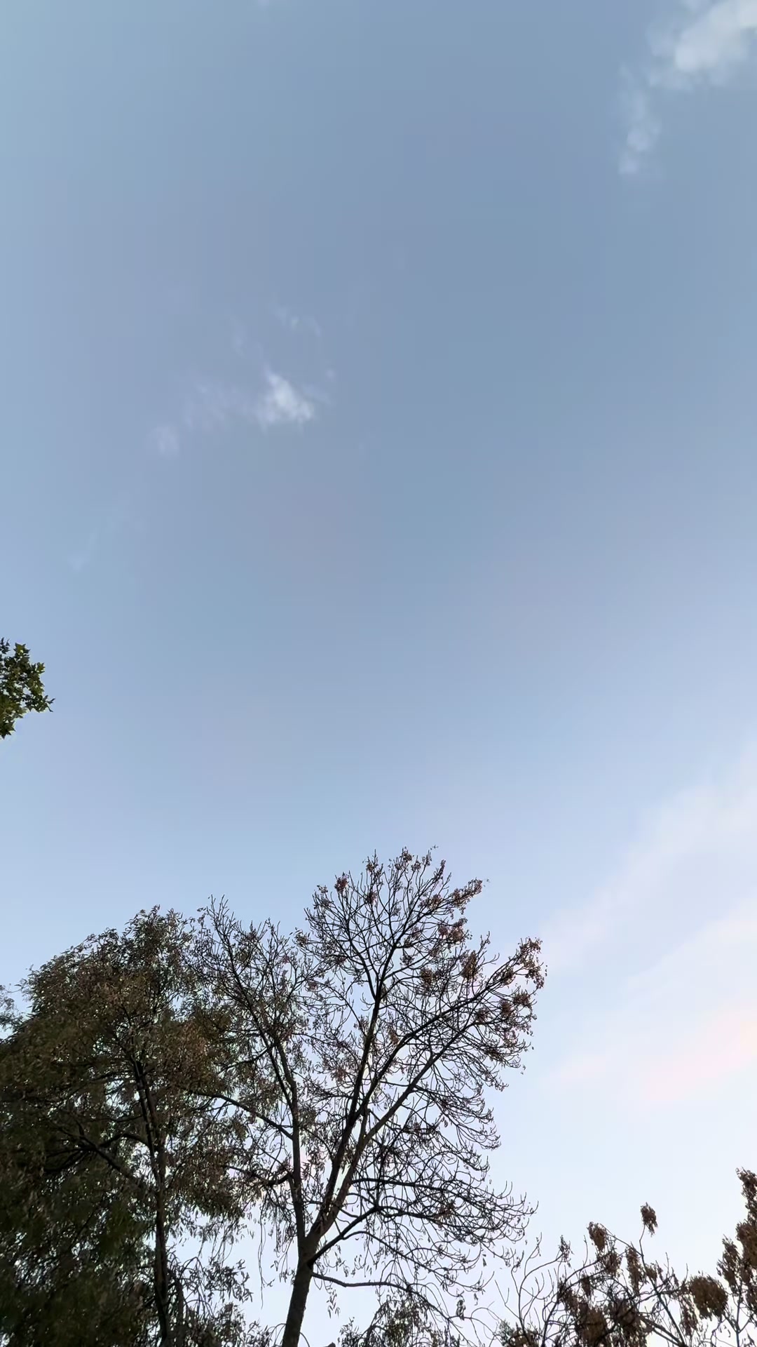 @𝗔𝗯𝗱𝘂𝗹𝗿𝗮𝗵𝗺𝗮𝗻𝗸𝗱𝘇
