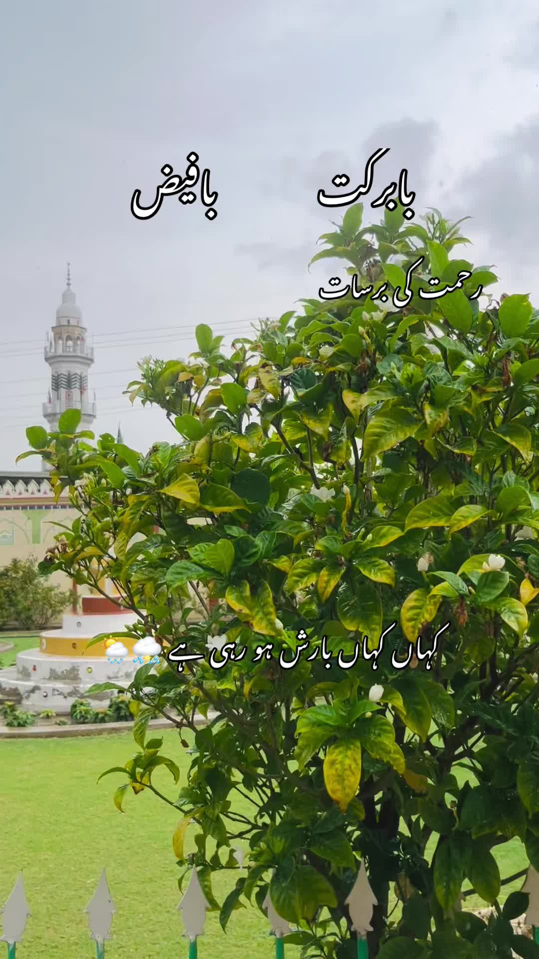 @🍂🌾 پنجابی کلچر 🌾🍂