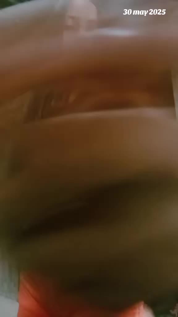 @Œ Mîkäêľå Vârgäs 🥺🥰