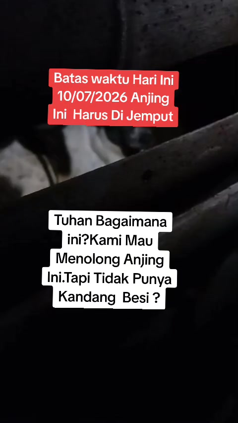 @KOKA_KOLA_FAMILY