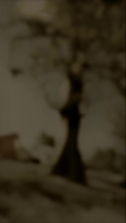 @🖤FAHAD BHALLi🖤