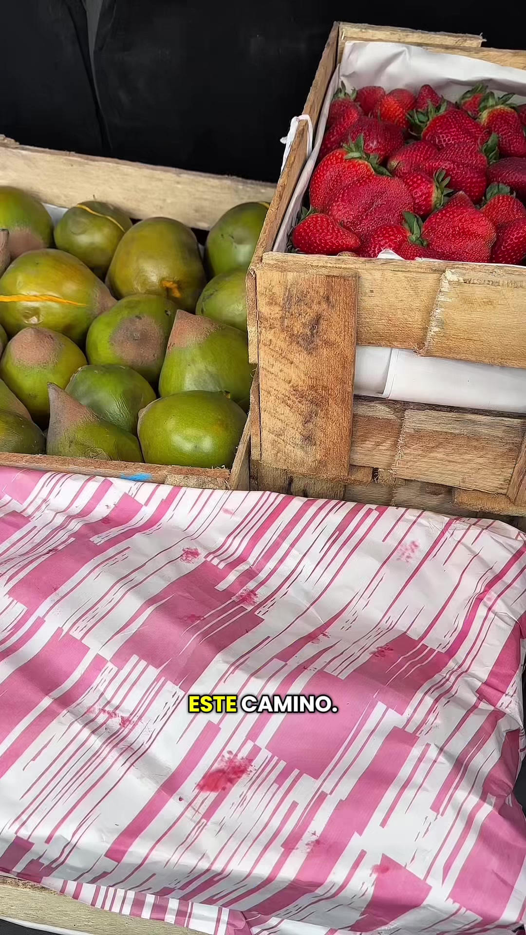 @elchupeton.pe