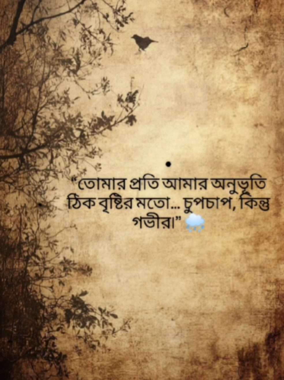 @SABRIAR (EXTRA)☑️