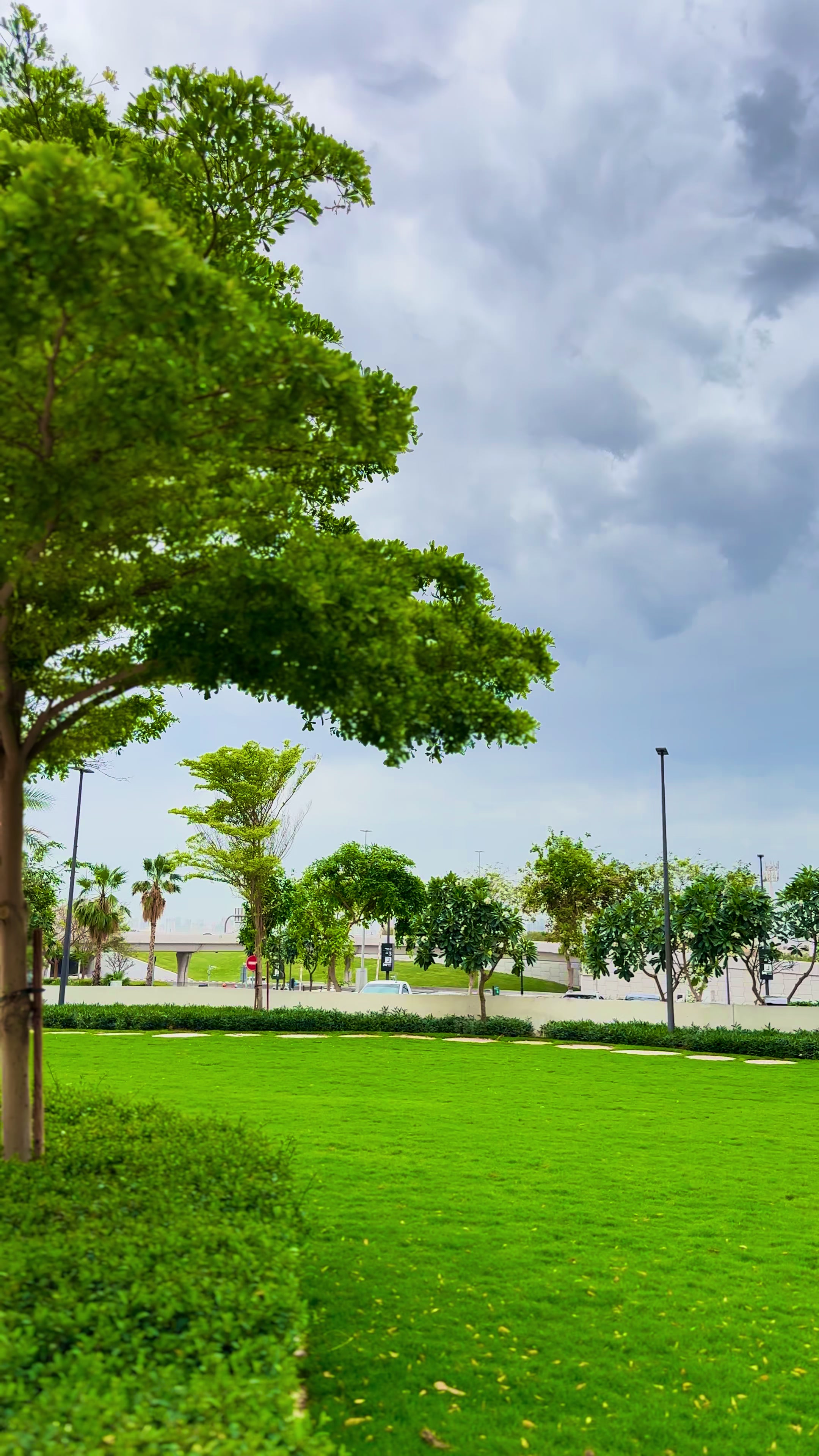 @thehammadgillani