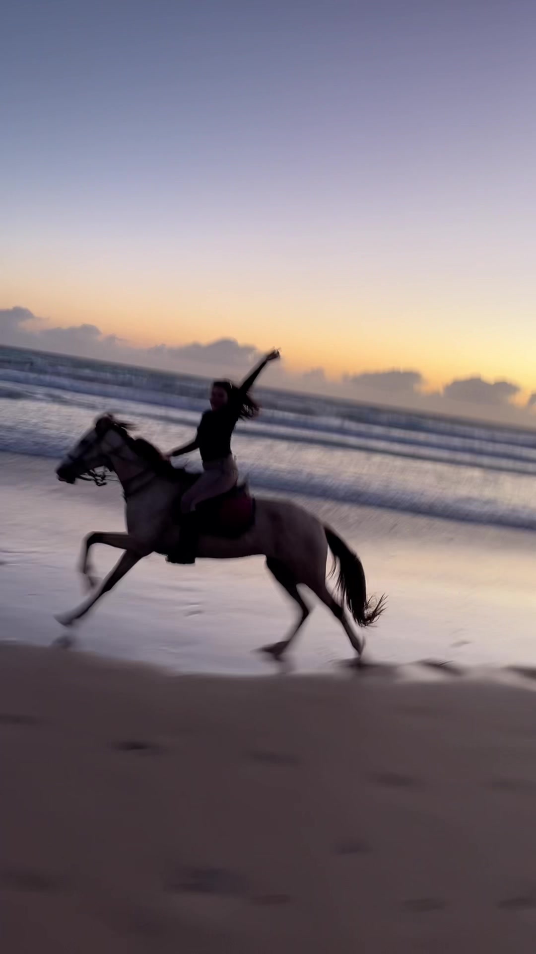 @Cheval_agadir