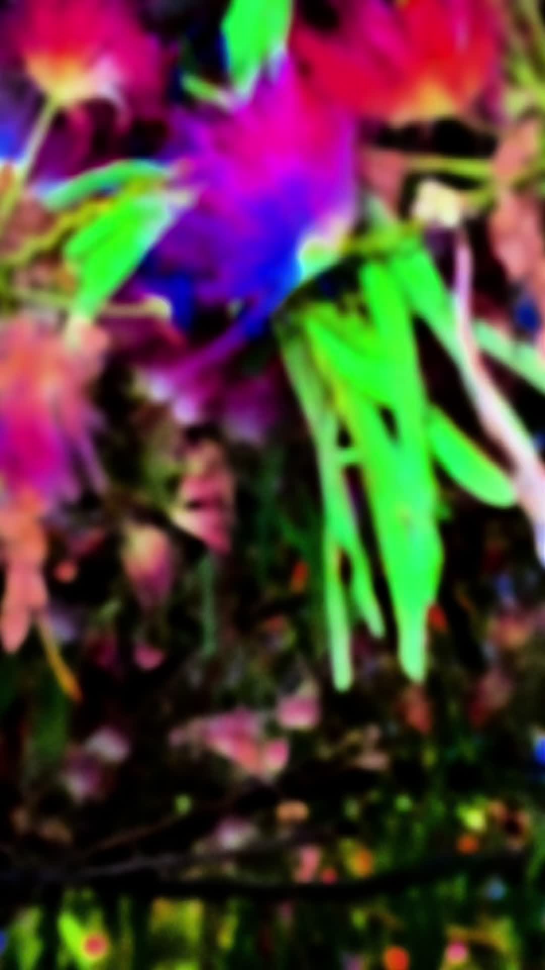 @𝓢𝓪𝓷𝓳𝓮𝓮𝔀𝓪 🇱🇰🇰🇷🇮🇱
