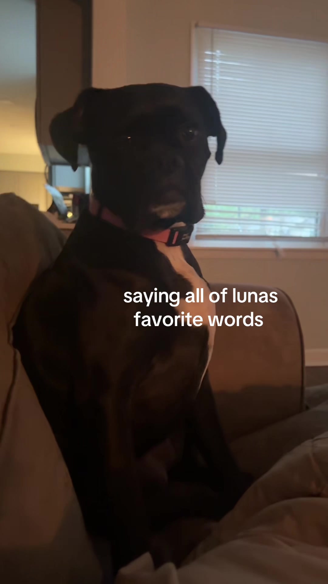@crazycora