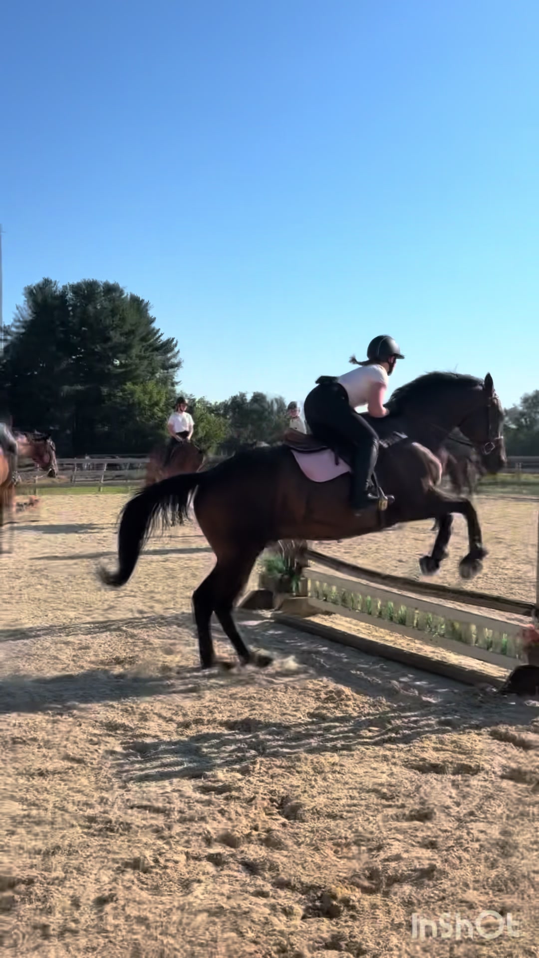 @Katie!🐴