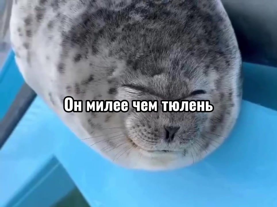 @dj_mewkirr☢️