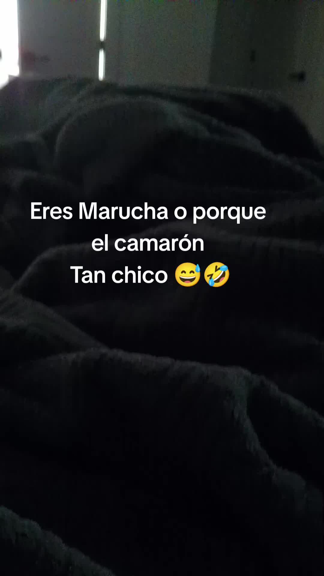 @carlita_1🍷🕷️