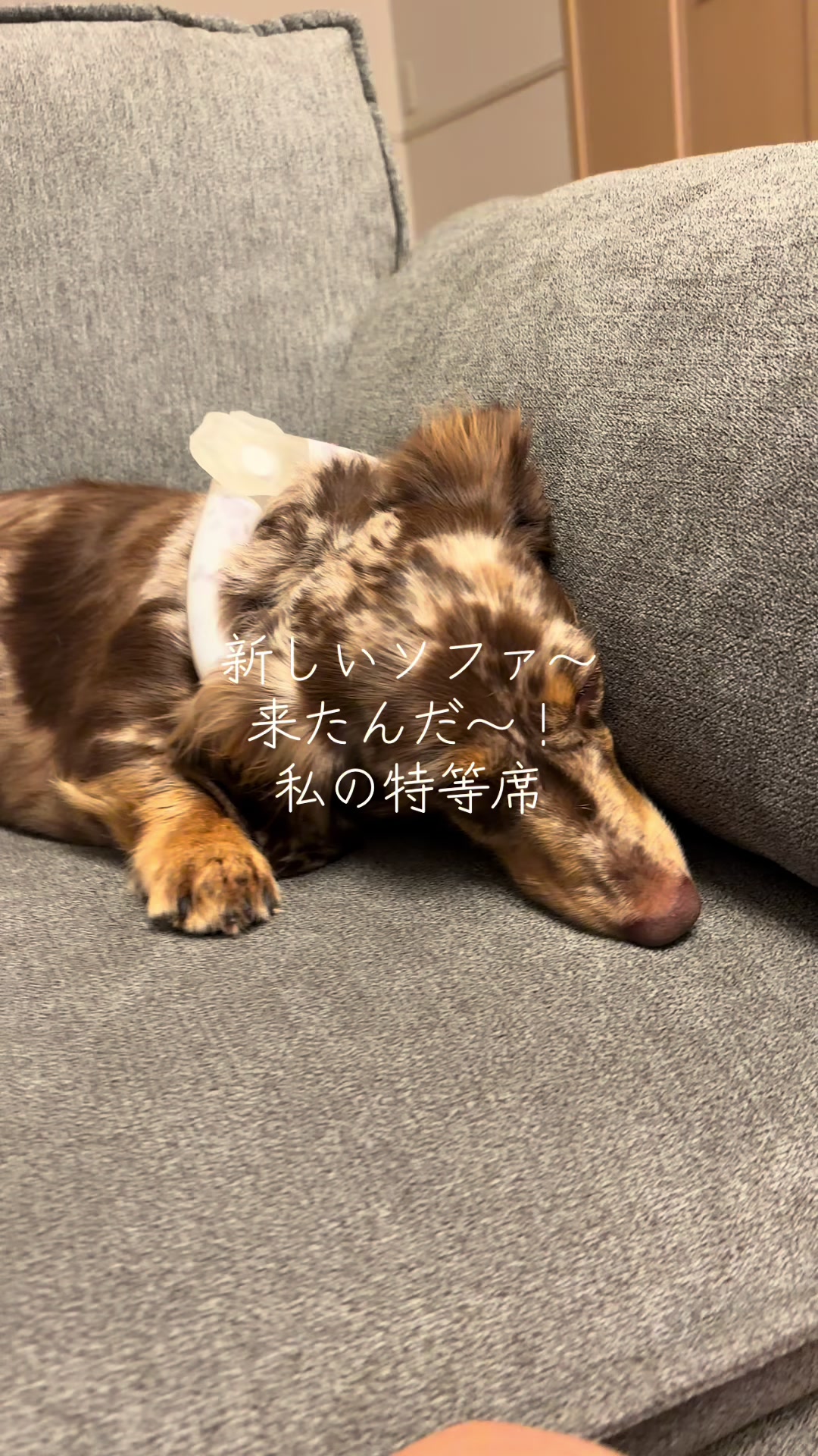 @ケン